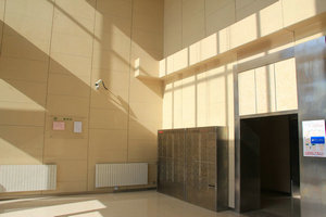 挂墙装饰板 (21)